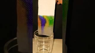 paper chromatography chemistry experiment chemistry shorts experiment [upl. by Ynaffik956]