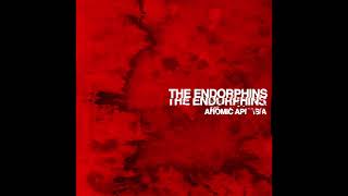 The Endorphins  Anomic Aphasia Official Audio [upl. by Christianna]