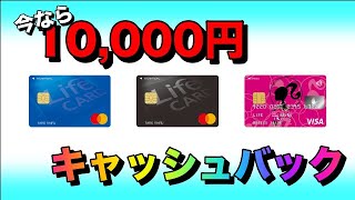 【最大10000円キャッシュバック】ライフカード学生専用カードが今熱い [upl. by Yaf]