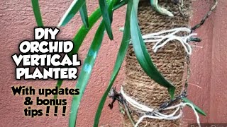 DIY Vertical Orchid Planters  Orchid Vertical Planter DIY Idea  Whimsy Crafter [upl. by Arihaz698]