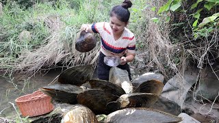 😲Girls Riverbed Exploration Takes Thrilling Turn A Giant Mussel with a Worthy Pearl Unearthed [upl. by Nomahs]