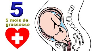 5 mois de grossesse  tout bouge  EnceinteSante [upl. by Anirhtak]