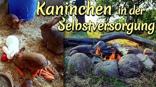 Kaninchen in der Selbstversorgung Felle Fleisch Haltung und Rezepte [upl. by Eirroc515]