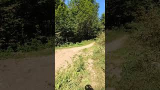 Klínovec baikepark dh line last jump Klinovec mountainbike downhill fypage mtbbike downhillmtb [upl. by Laitselec972]