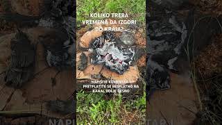 KOLIKO VREMENA TREBA DA IZGORI DO KRAJA roštilj meso vatra smartphone bbq fire fireplace [upl. by Isej]