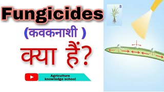 Fungicides क्या हैं। Classifications of Fungicides।Systemic Fungicide और Contact Fungicide में अंतर। [upl. by Ailegra]