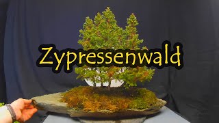 Zypressenwald [upl. by Marcy598]