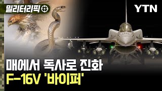 밀리터리픽 매에서 독사로 진화한 F16 바이퍼  YTN [upl. by Jyoti840]