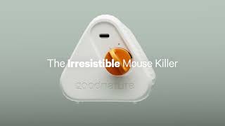 Introducing the Goodnature Mouse Trap  A Humane SelfResetting Solution [upl. by Yoko]