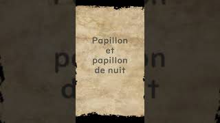 Papillon et papillon de nuit  Huhito FablesVersion française Vol31 [upl. by Llorre]