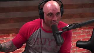 Joe Rogan on Weed amp Introspection [upl. by Gareth]