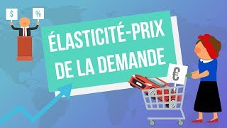 Lélasticitéprix de la demande [upl. by Hayidah674]