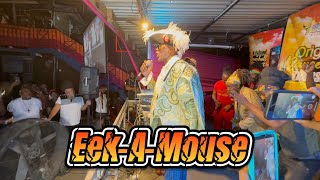 Reggae Icon EekAMouse Destroyed Rub A Dub Thursday  Must Watch  Live Performance  261023 [upl. by Wootan780]