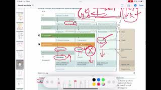 17 Alpha hydroxylase enzyme deficiency endocrinology 25  First Aid USMLE Step 1 in UrduHindi [upl. by Adai]