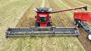 CASE IH 9260 AXIALFLOW Harvesting Different Crops with MacDon FD250 50 ft Header [upl. by Ros800]