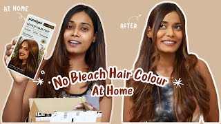 I Tried NO BLEACH Hair Colour From PARADYES  Paradyes Hair Colour Without Bleach Hazel Brown [upl. by Nelag]