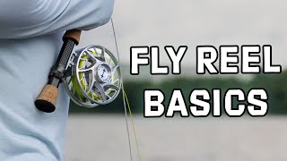 Fly Reels Explained  Basics You Need to Know  Getting Started in Fly Fishing [upl. by Etti]