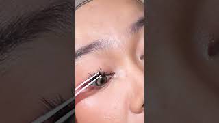 Try On Mlen Diary Star Individual Lashes fakelashes [upl. by Eahsram241]