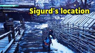 Find and speak to Sigurd Assassins Creed Valhalla Birthrights Quest [upl. by Blinny]