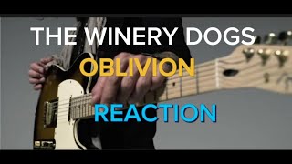 The Winery Dogs quotOblivionquot Official Music Video REACTION [upl. by Ergener858]