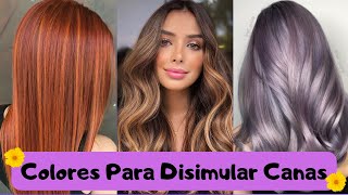 Colores de Cabello para Disimular Canas [upl. by Ehcrop77]