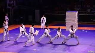 Kukkiwon Taekwondo Demonstration World Taekwondo Hanmadang 2018 [upl. by Miksen894]