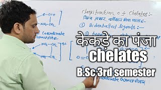 Chelates  chelation in Hindi bsc 3rd semester chemistry [upl. by Anrehs417]