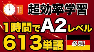 【時短ドイツ語】A2レベル613単語をネイティブ発音で完璧に！​【日本語訳・試験対策】 [upl. by Una838]