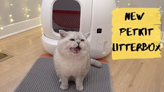 Litter Box That Attract Cats PETKIT PURAMAX Litter Box for Apollos Family [upl. by Tiffi]