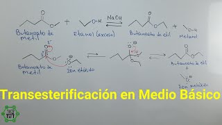 Transesterificación en Medio Básico  Mecanismo de Reacción [upl. by Edsel920]