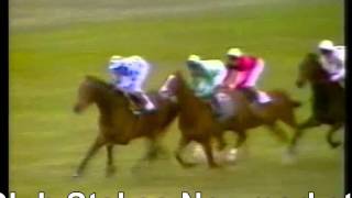 1981 Jockey Club Stakes Newmarket Master Willie Henbit Full Race [upl. by Ruhtra170]