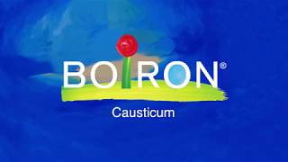 Causticum  Homeopathic Medicine for Arthritis and Joint Pain [upl. by Oicaroh]