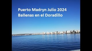 Puerto Madryn Julio 2024 [upl. by Salamone231]