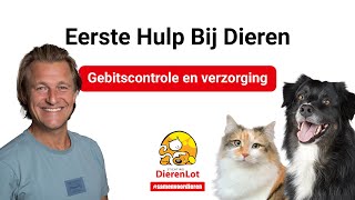 Gebitscontrole en verzorging bij je huisdier [upl. by Durwyn]