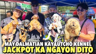 BAKA NANDITO NA HINIHINTAY MONG PETS  GROTTO PET MARKET UPDATE  NOVEMBER 10 2024 [upl. by Holcomb]