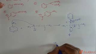 The major product obtained in the reaction of aniline with acetic anhydride is  CLASS 12  QUE [upl. by Adnema211]