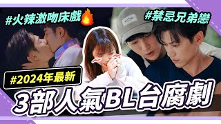 骨科當紅？2024近期人氣超高三部台灣BL腐劇｜Niki妮奇｜Three most popular Taiwan BL dramas in 2024｜bl series [upl. by Lamahj663]