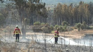 Milhares de bombeiros lutam contra incêndio em Portugal e na Espanha  AFP [upl. by Gaudet]