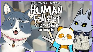 【Human Fall Flat】アニマルフォールフラット！【ANEMEROONE】 [upl. by Tessi534]