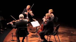 Dvorak String Quartet op51 3rd movement [upl. by Yun986]