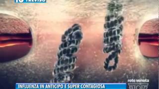 29122014 INFLUENZA IN ANTICIPO E SUPER CONTAGIOSA [upl. by Newol]