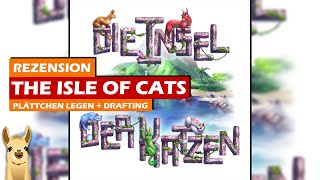 😻Die Insel der Katzen  So macht Plättchen legen Spaß  Rezension  Brettspiel [upl. by Enaenaj]