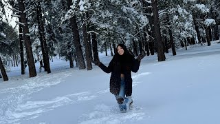 FLAGSTAFF VLOG part 1  road trip  snacks  snow [upl. by Lesser]