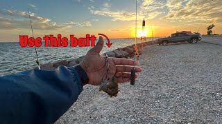 Texas City Dike Fishing before a STORM 2024 [upl. by Stine812]