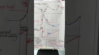 Nerve 3  10 Nov 2017   Excitability changes  Sub threshold stimulus [upl. by Ibbob98]