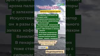 А ВЫ ЗНАЛИ Хитрости маркетинга советыполезнорек shortsvideo мудрость [upl. by Ecaroh196]