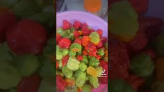 How to make Ofada sauce Please likeampcommentDon’t forget to subscribe foodcookingnigeriafood [upl. by Naihtsirc777]