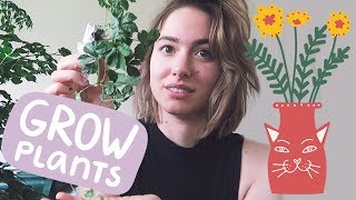 Stekjes unboxing  PLANT MOM DIARY 1 [upl. by Eiddet]