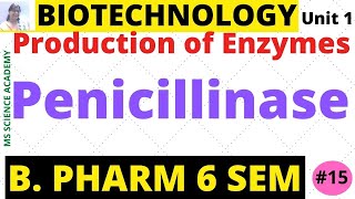 PenicillinaseProduction of EnzymesBiotechnologyUnit 1 B Pharmacy 6 SemLect15 [upl. by La549]