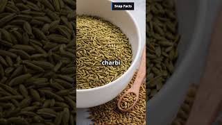 Amazing Health Benefits of Cumin Seeds  Boost Digestion amp Lose Weight with Jeera [upl. by Llecrad849]